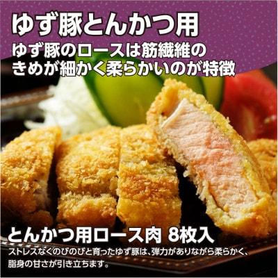 【高知のブランド豚/ゆず豚】脂身が甘いジューシーとんかつ8枚入り(約1.2kg)