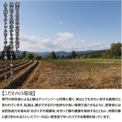 【高知のブランド豚/ゆず豚】脂身が甘いジューシーとんかつ8枚入り(約1.2kg)