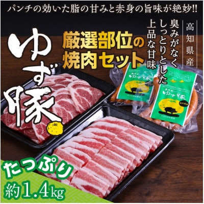 【高知のブランド豚/ゆず豚】厳選部位の焼肉セット(約1.4kg)【GRS006】