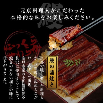 高知ブランド鰻「西岡うなぎ」L うなぎの蒲焼き4尾セット(約660g)　タレ付【KGP062】