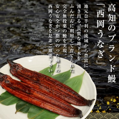 高知ブランド鰻「西岡うなぎ」LLL うなぎの蒲焼き8尾セット(約1760g)タレ付【KGP067】