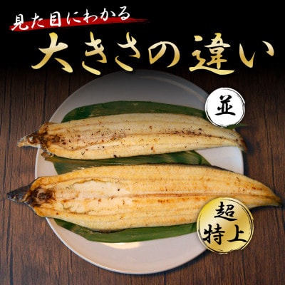 高知ブランド鰻「西岡うなぎ」LLLうなぎの白焼き2尾セット(約440g)　タレ付【KGP041】