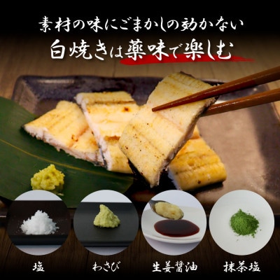 高知ブランド鰻「西岡うなぎ」LLLうなぎの白焼き2尾セット(約440g)　タレ付【KGP041】
