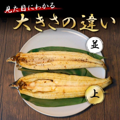高知ブランド鰻「西岡うなぎ」Lうなぎの蒲焼き・白焼き2尾セット(約330g)タレ付【KGP043】