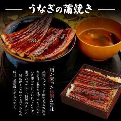 高知ブランド鰻「西岡うなぎ」Lうなぎの蒲焼き・白焼き2尾セット(約330g)タレ付【KGP043】