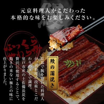 高知ブランド鰻「西岡うなぎ」～L～うなぎの蒲焼き2尾セット(約330g)　タレ付【KGP025】
