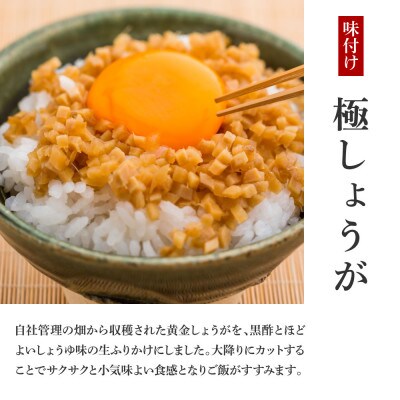 味付け極しょうが　110g×10袋【SNS006】