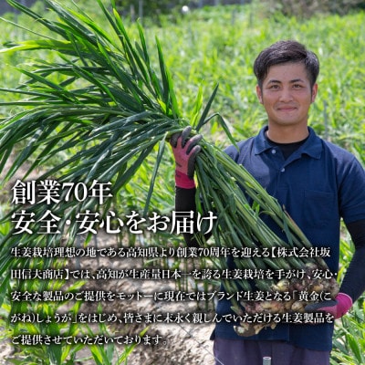 高知県産　ハウス黄金新しょうが　2kg【SNS003】