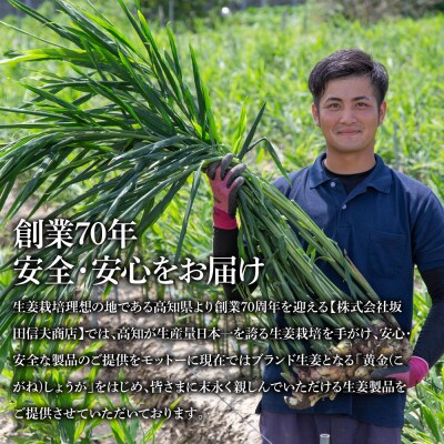 味付け極しょうが　110g×5袋【SNS017】