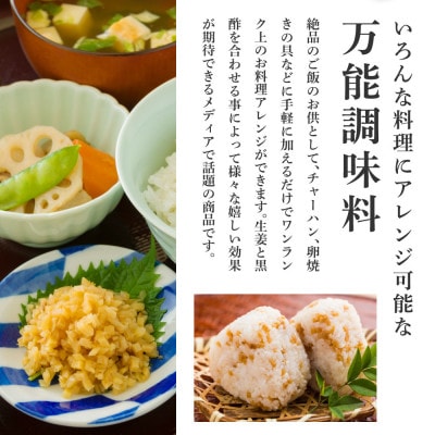 減塩　味付け極しょうが　110g×1袋【SNS018】