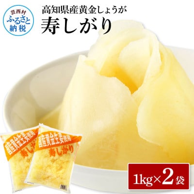 国産黄金しょうが寿しがり　1kg×2袋【SNS015】