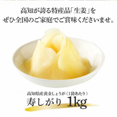 国産黄金しょうが寿しがり　1kg×2袋【SNS015】