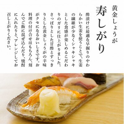 国産黄金しょうが寿しがり　1kg×2袋【SNS015】