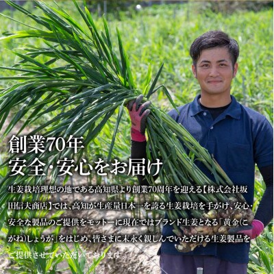 国産黄金しょうが寿しがり　1kg×2袋【SNS015】