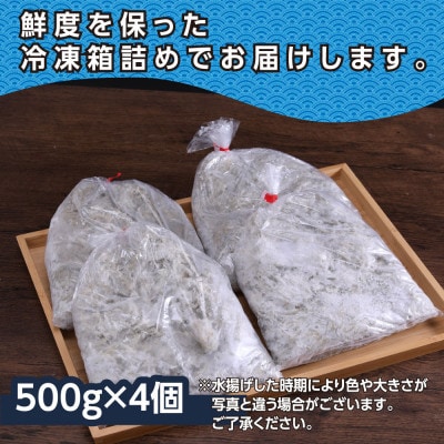 【訳あり】釜揚げシラス 500g×4個