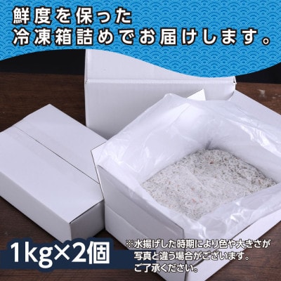 【訳あり】釜揚げシラス 1kg×2個