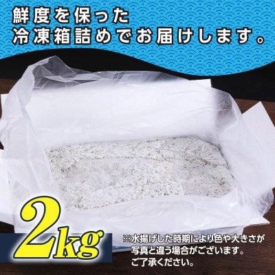 【訳あり】釜揚げ しらす 2kg 【MMK006】