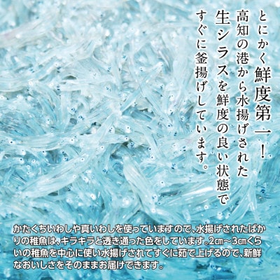 【訳あり】釜揚げしらす 800g