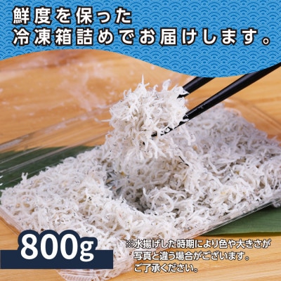 【訳あり】釜揚げしらす 800g