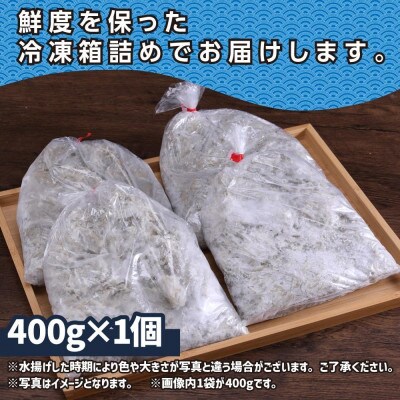 訳あり釜揚げしらす400g【MMK015】