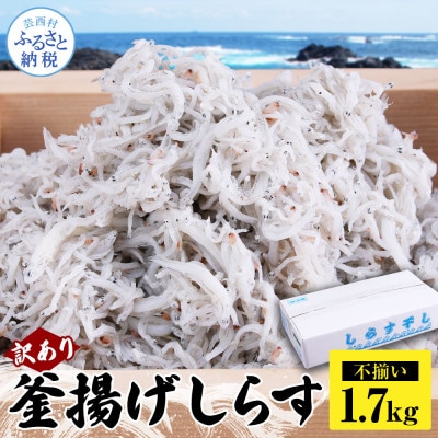 訳あり釜揚げしらす1.7kg【MMK006】