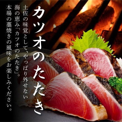 土佐料理司　鰻と鰹の土佐便りセット【TRT005】