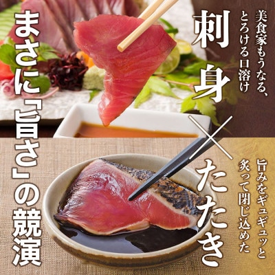 土佐料理司　一本釣りとろ鰹の刺身・鰹たたきセット【TRT008】
