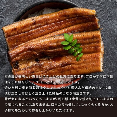 土佐料理司　三代目天の鰻蒲焼　1尾セット(山椒なし)【TRT001】