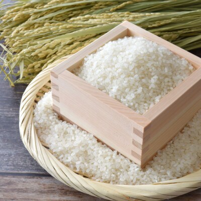 令和7年産　無洗米コシヒカリ3キロ