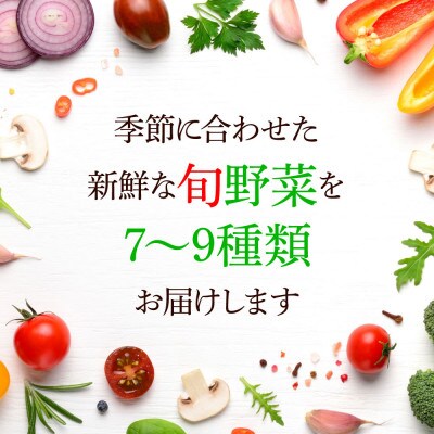 野菜セット(7～9種類)栽培期間中農薬不使用