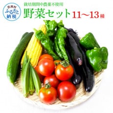 栽培期間中農薬不使用野菜セット11～13種