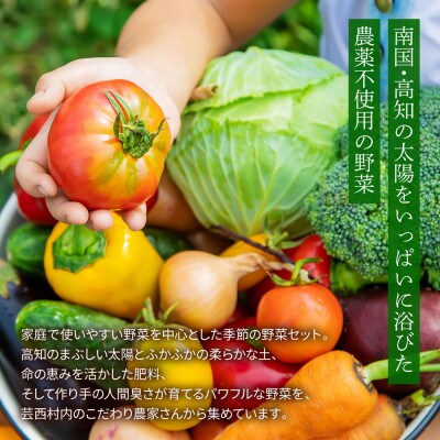 栽培期間中農薬不使用野菜セット11～13種 | 高知県芸西村