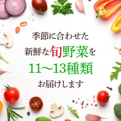 栽培期間中農薬不使用野菜セット11～13種