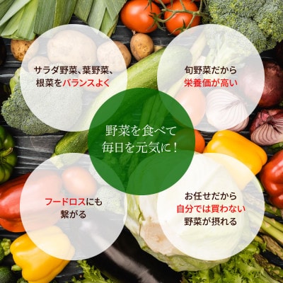栽培期間中農薬不使用野菜セット11～13種