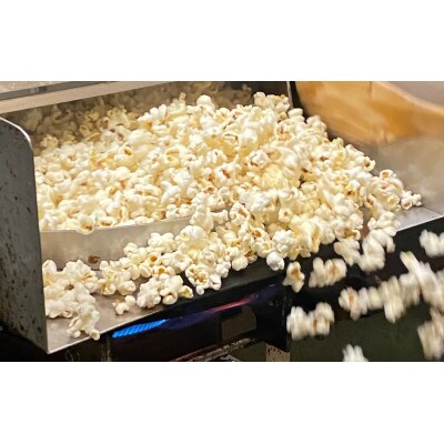 現代人にマッチしたグーな味「マックのシュガーコーン」10袋セット(アレルギーフリー)【AZS007】