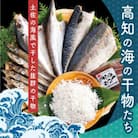 高知の海の干物たち【SST002】