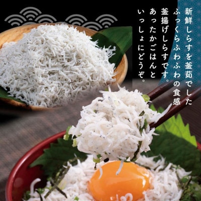 高知の海の干物たち【SST002】
