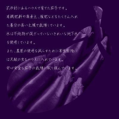 白ナス6本【KYN003】
