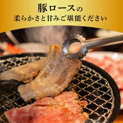 国産豚ロース焼肉用450g【TKA326】