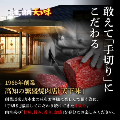 土佐あかうし&土佐牛2種食べ比べ　スネ肉煮込み角切り500g　計2パック【TKA288】