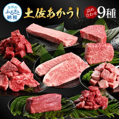 土佐あかうし詰め合わせ9種【TKA300】