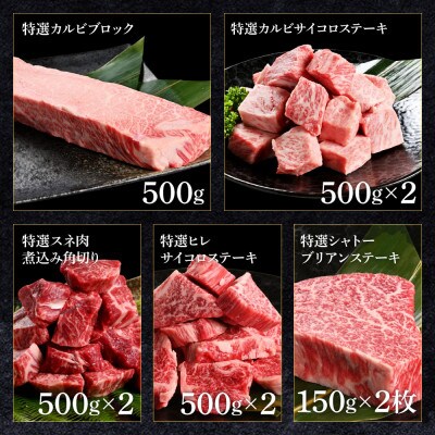 土佐あかうし詰め合わせ9種【TKA300】