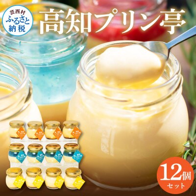 高知プリン亭セット12個入り【TKA026】