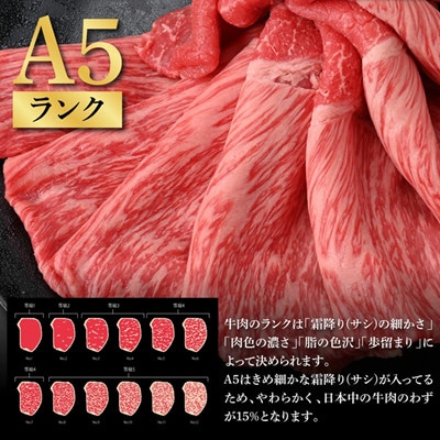 土佐和牛最高級A5特選ももスライス450g【TKA305】