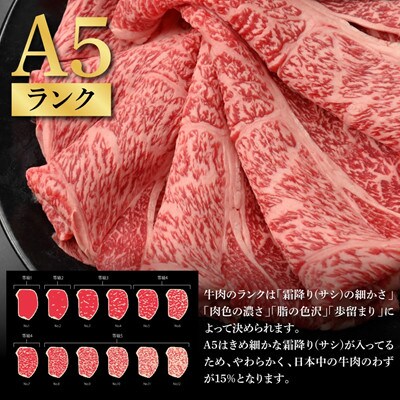 土佐和牛 特選クラシタロース スライス Wパック900g【TKA309】