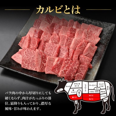 土佐和牛上カルビ焼肉450g【TKA312】