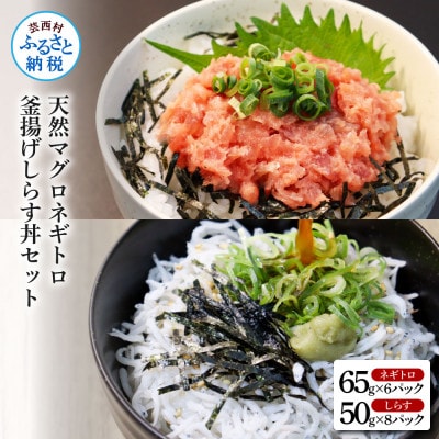 高知県産 釜揚げしらす(8P)と天然マグロのタタキ丼(6P)セット【KGP037】