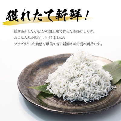 高知県産 釜揚げしらす(8P)と天然マグロのタタキ丼(6P)セット【KGP037】