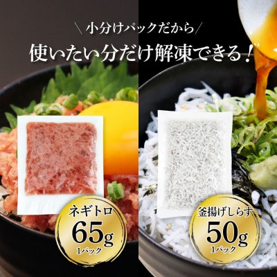 高知県産 釜揚げしらす(8P)と天然マグロのタタキ丼(6P)セット【KGP037】
