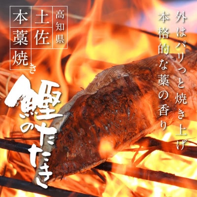 【毎月定期便】極カツオのたたき(3～4人前)田野屋銀象ソルト(天日塩)付【t079kgp】全6回